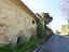 Immagine 26