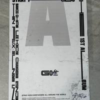 Album Stray Kids