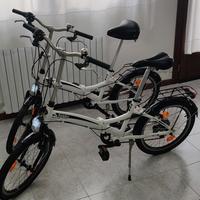 bici pieghevole Fold