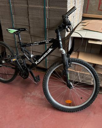 Bicicletta