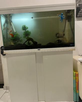 Acquario Ciano 200litri