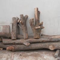 Legno stagionato di Olmo, Tiglio,Tuia, Noce etc