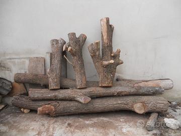 Legno stagionato di Olmo, Tiglio,Tuia, Noce etc