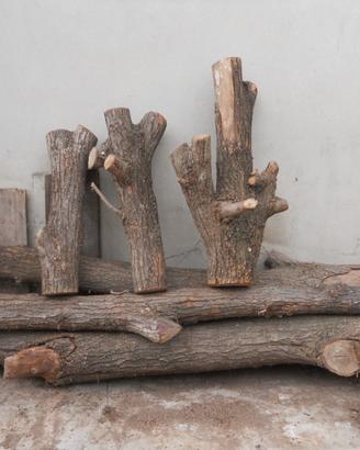 Legno stagionato di Olmo, Tiglio,Tuia, Noce etc