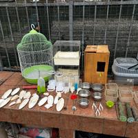 Accessori pappagalli