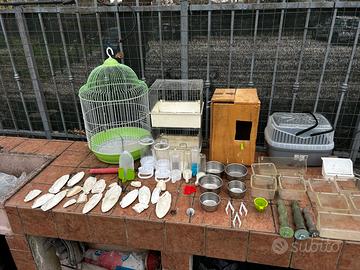 Accessori pappagalli