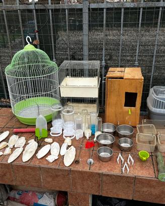 Accessori pappagalli