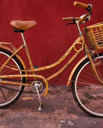 Bicicletta vintage  un bambu e raytan