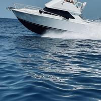 Bertram 28