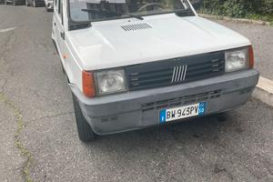 Panda Young 1100 anno 2000