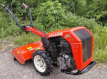 motocoltivatore goldoni 10cv avv elettrico 