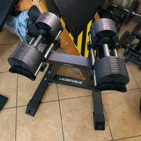 Manubri regolabili lacertosus 32kg