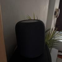 Coppia Homepod Apple
