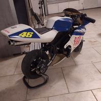 Minimoto vr46