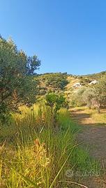 Terreno agricolo