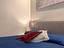 Immagine 11