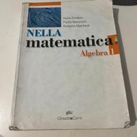 Set 2 Libri Nella Matematica
