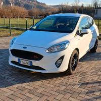 Fiesta Van