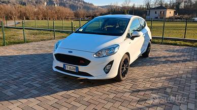 Fiesta Van