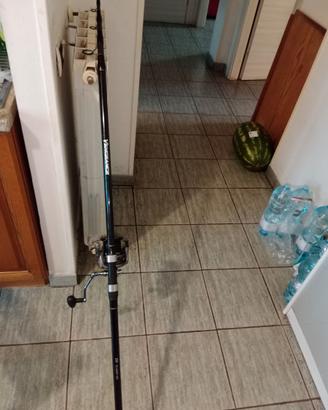Canna surfcasting 