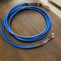 cavi di potenza BCD Interconnect PH1