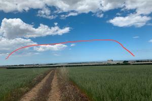 Uliveto di 7230mq zona Materdomini Rutigliano