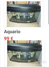 Acquario