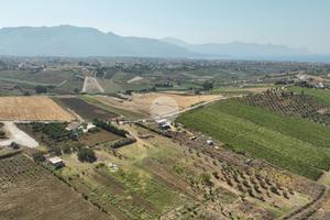 TER. AGRICOLO A ALCAMO