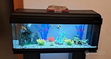 Aquario 120 litri 