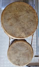 Bongo