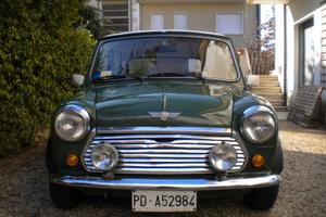 Rover Mini