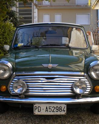 Rover Mini