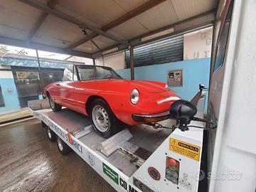 alfa romeo spyder 