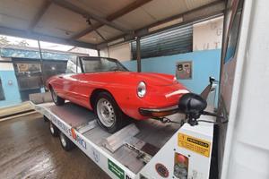 alfa romeo spyder 
