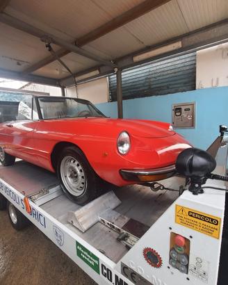 alfa romeo spyder 