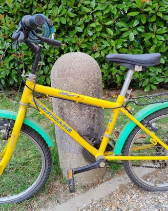 bicicletta gialla