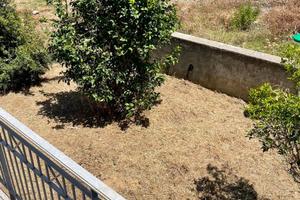 Rif.RI0510- appartamento bilocale