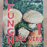 I funghi dal vero