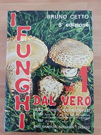 I funghi dal vero