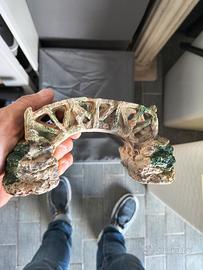 Per il tuo pesciolino 