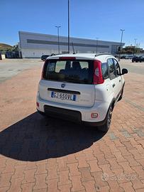 Fiat panda hybrid