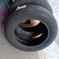 gomme estive 