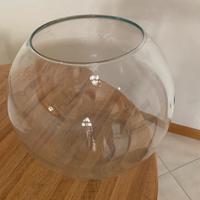 Boccia di vetro per pesci