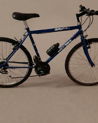 MTB BOTTECCHIA Vintage