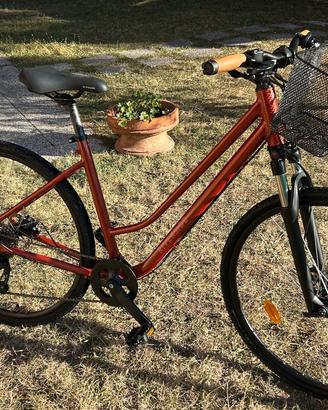 Bicicletta Riverside