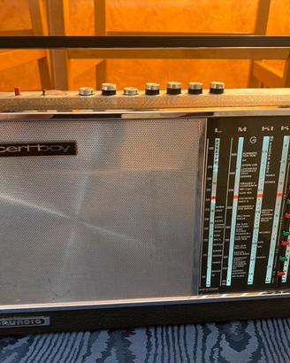 Grundig concert boy 208