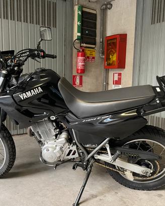 XT 600