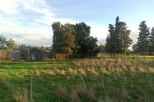 Terreno Agricolo Oristano [cod. rif6047650VCG]