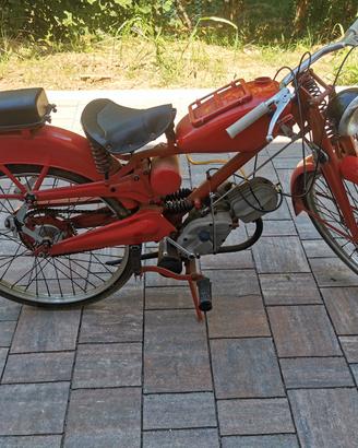 moto guzzi cardellino