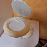 lampada professionale 